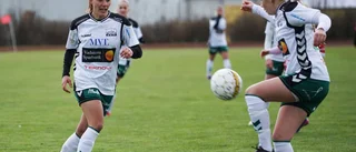 VGIF testar inför framtiden