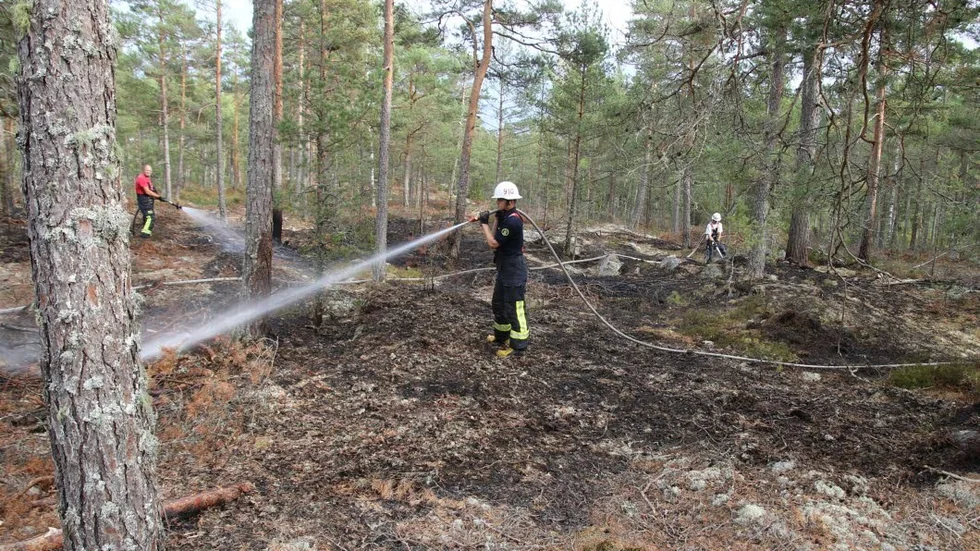 Branden utanför Loftahammar bröt ut sent på lördagseftermiddagen.