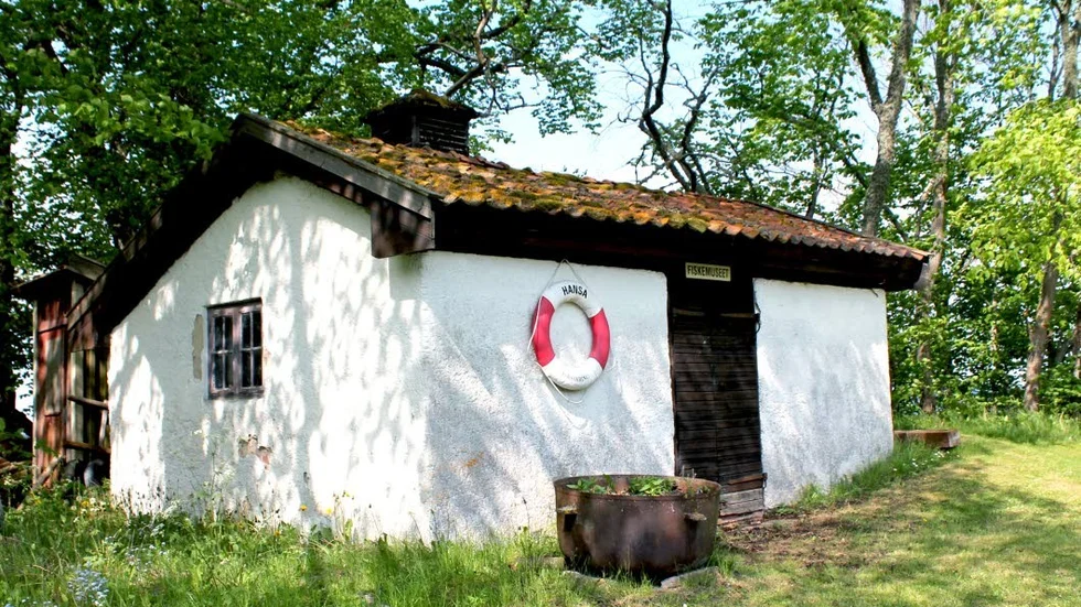 Stöd. Borghamns fiskeförening får bidrag till fiskemuseet.