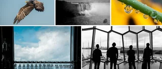 61 fotografer gör upp i tävling