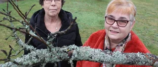 Beslutet: Klassiska föreningen läggs ned