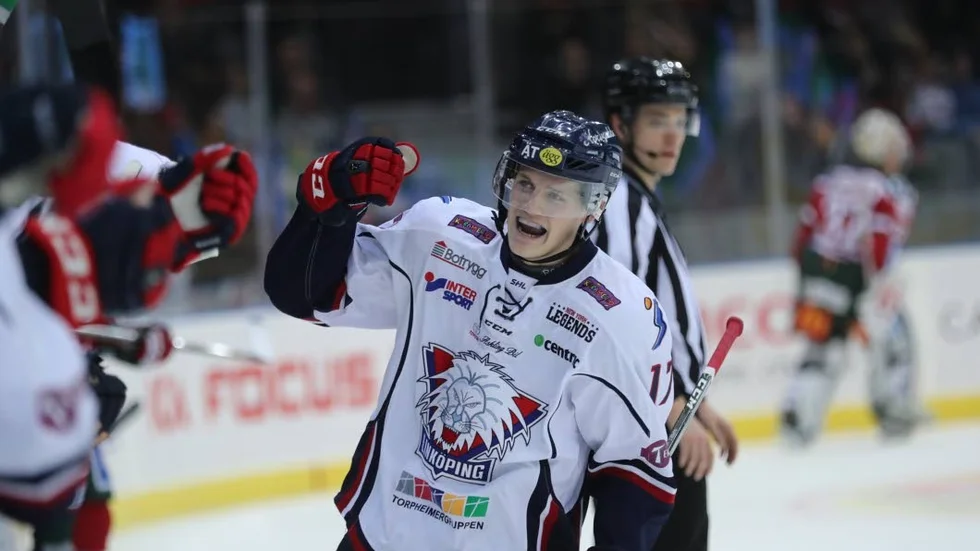 Förre LHC:aren och Motalasonen Henrik Törnqvist har förlängt kontraktet med Timrå, till 2022.