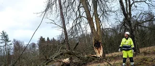 Strömlös efter stormen? Då har du rätt till ersättning