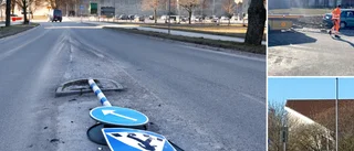 Nu har det hänt igen: Bilist mejade ner refug