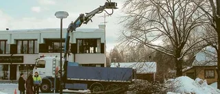 Plockar ner träd gren för gren