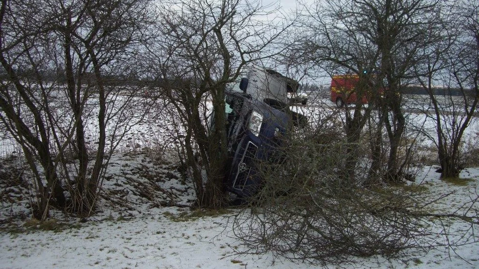 En bilist körde av vägen och in i ett träd i en villaträdgård på tisdagsmorgonen.