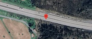 Just nu: Rådjur innanför viltstängslet på E18