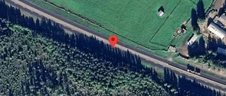 Älg på fel sida av viltstängslet på E4