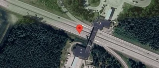 Rådjur på fel sida viltstängslet på E4