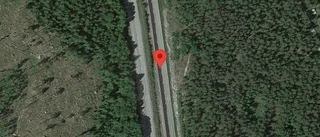 Rådjur på fel sida av viltstängslet på E4