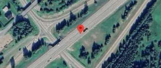 Rådjur på fel sida av viltstängslet på E4