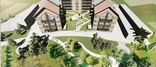 Kronandalens nya kvarter – här är namnen