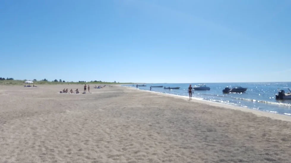Sandgrönnorna en het dag i juli (Arkivbild)