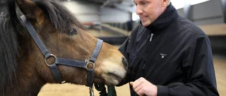 Stort intresse för hästartist