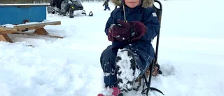 Läsarbilden: Tålmodig väntan på fisk