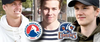 Filip gör Filip och Philip sällskap • Förre AIK-junioren klar för AHL – återförenas med Berglund