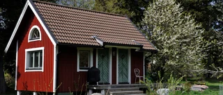 Pigg 500-åring tvekar inför framtiden
