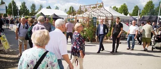 Utställarna sviker Nolia – drygt 200 färre än 2018: "För oss känns det svårmotiverat"