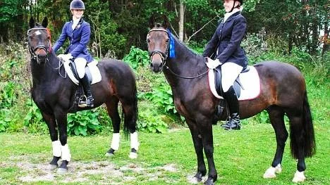 Alexandra Jurå/Stockmossens Tindra och Jessika Pettersson/BC var med i toppen i båda sina starter.