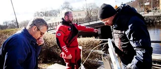 Alla fiskar räknas