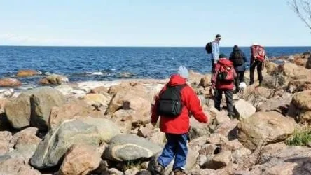 STF Norra Upplandskretsen arrangerade en strandpromenad mellan Sikhjälma och Fågelsundet.