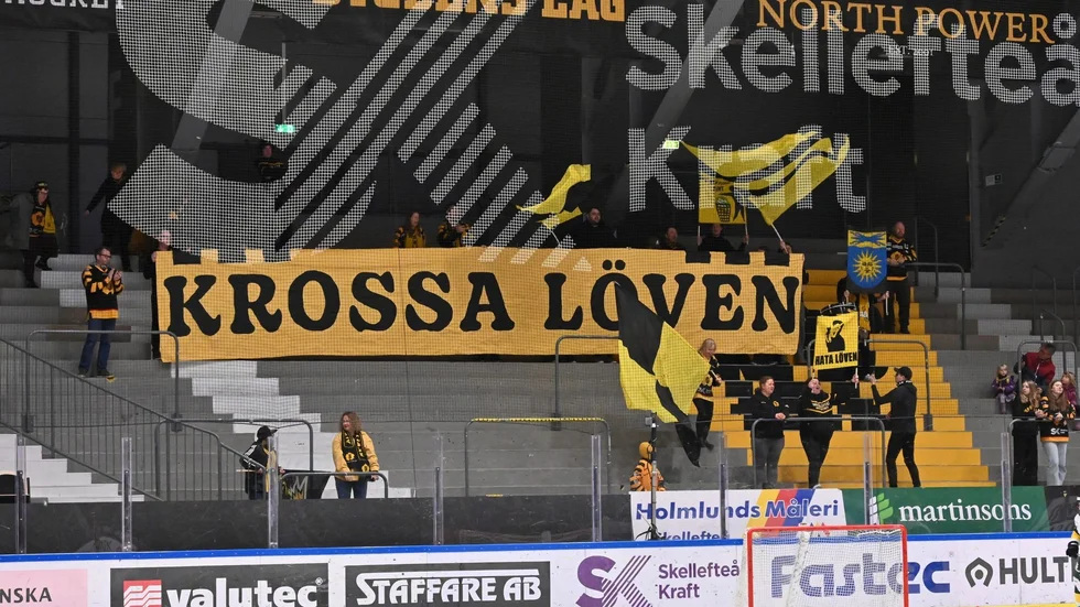 En liten men röststark klack hejade fram Skellefteå AIK i derbyt.