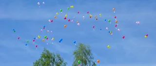Eskilstunas nya företag – partyfix, foodtruck och taxi