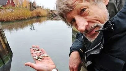 Ulf Blomqvist med spiggar som flöt omkring döda i Fagerviken.