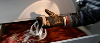 Smyckesstöld vid villainbrott