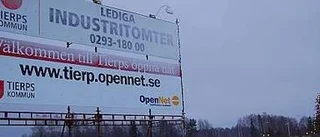Försiktigt näringslivsarbete i Tierp