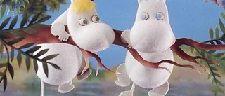 Missförstådd mumin