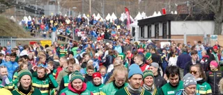 Uppländsk representation