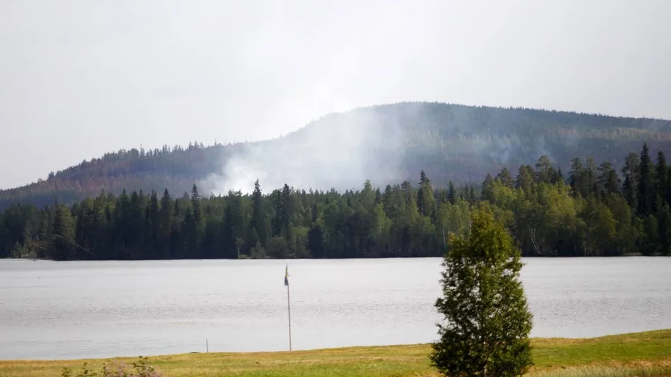 Frivilliginsatserna vid extrema väderhändelser är ovärderliga. Bild från Ljusdal, sommaren 2018.