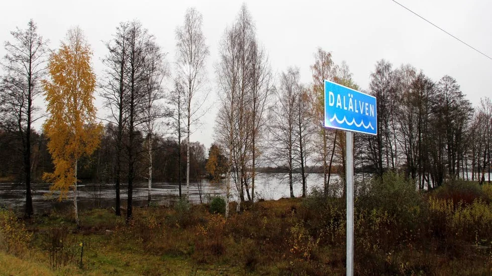 Mark- och miljödomstolen har kört över Tierps kommun och säger nej till ett vägbygge i ett strandskyddat område vid Dalälven i Söderforstrakten.
