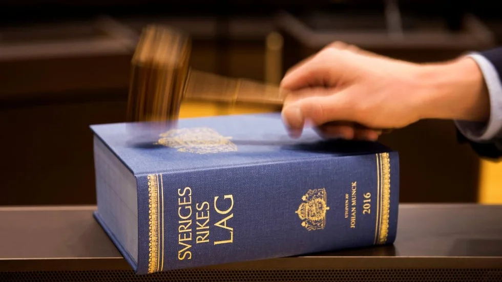 Domslut. Såväl åklagare som barnrättsorganisationen ECPAT tycker att tingsrätten är för restriktiv gällande straff för nätbaserade sexbrott mot barn.