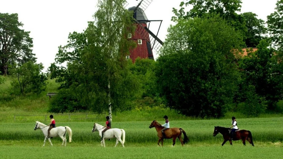 För fötter. Stigar förstörs om man rider på dem.
