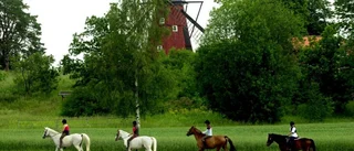 Bara gul hästhov på stigen, tack!