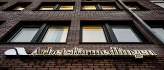 Hälften av de nyanlända har inte gått gymnasiet