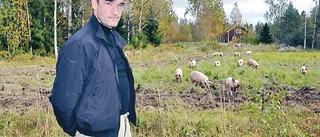 Salmonella igen!