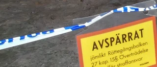 Fick könsorganet avskuret