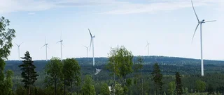 25 vindkraftverk 240 meter höga rycker närmare!
