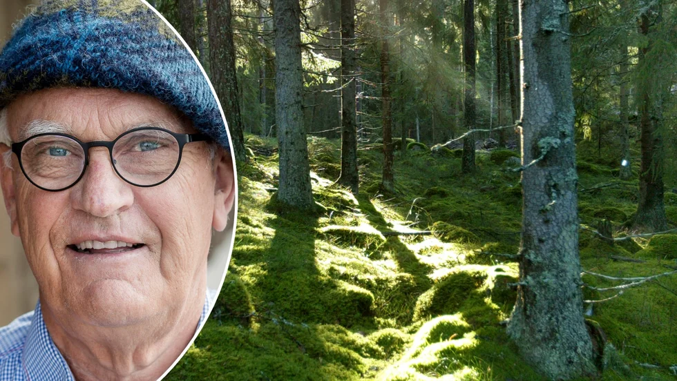 Roger Akelius har sålt sitt fastighetsimperium och på kort tid förvärvat fyra skogsfastigheter i Norrbotten.   