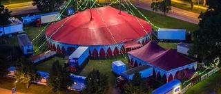 Cirkus Brazil Jack turnerar igen