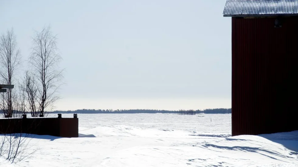 Olycksplatsen där grävmaskinen gick genom isen är utanför Törefors, en bit från Töre hamn, 300 meter ut på isen.