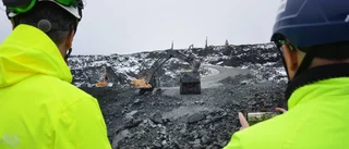 "Naturvårdsverket har gott om åsikter, men lite fakta"