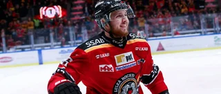 Kovacs hyllning: "Grymt bra – jag är imponerad"