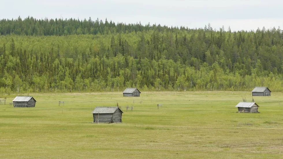Vasikkavuoma medför utgifter för föreningen, men pengarna från Jordbruksverket dröjer.