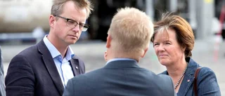 Storsatsning på skogen