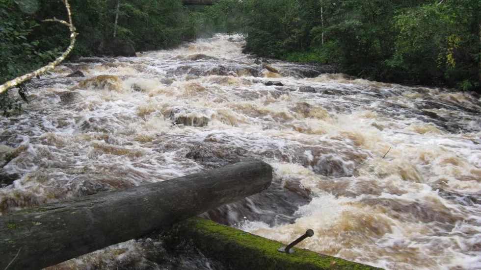 Restaurering. Älvsbyns kommun har fått tillstånd att återställa Stockforsälven från skador under flottningsepoken.