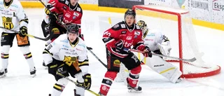 Tio lag i den norra Hockeyettan